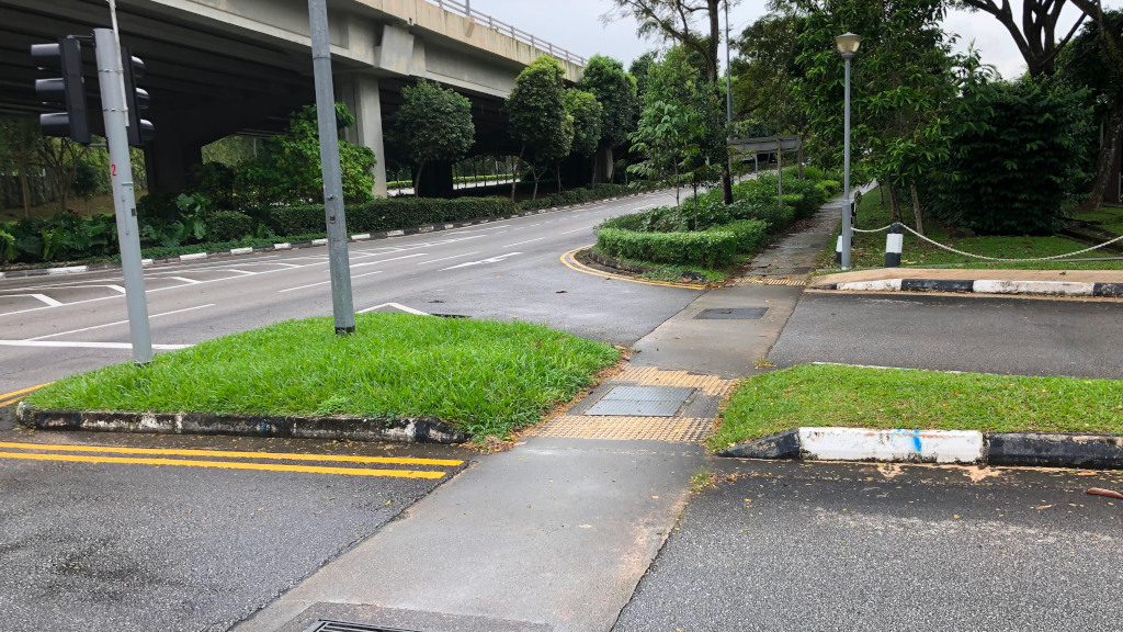 macritchie at lornie road